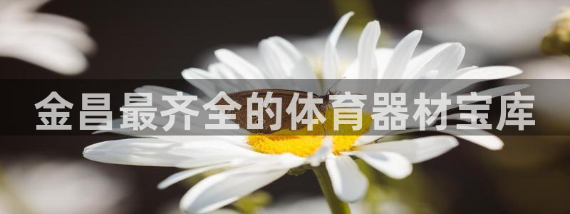 尊龙官网免费下载：金昌最齐全的体育器材宝库