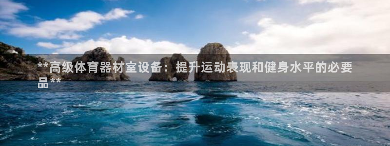 尊龙AG旗舰厅官网：**高级体育器材室设备：提升运动