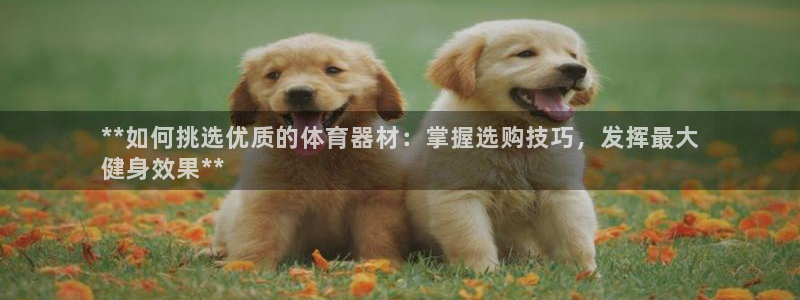 凯时平台登录：**如何挑选优质的体育器材：掌握选购技