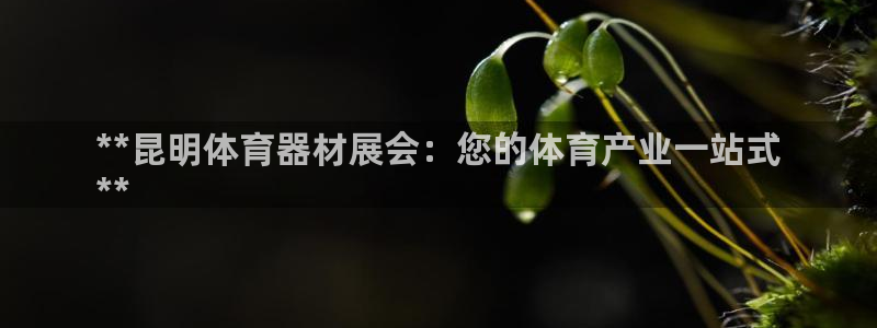 凯时k66娱乐登录：**昆明体育器材展会：您的体育产