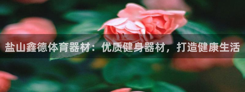 尊龙凯时企业文化：盐山鑫德体育器材：优质健身器材，打