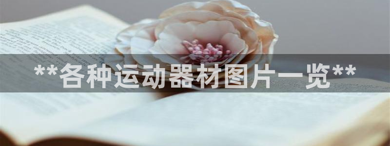 尊龙网站注册站注册：**各种运动器材图片一览**