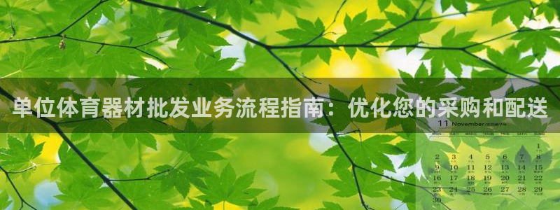 尊龙凯时充值不到账：单位体育器材批发业务流程指南：优