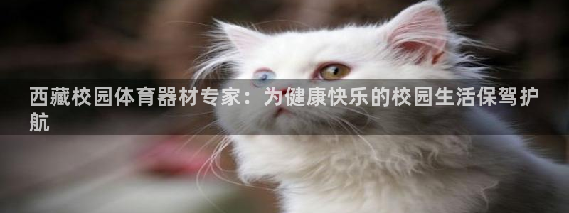 尊龙 5：西藏校园体育器材专家：为健康快乐的校园生活