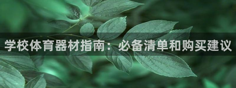 尊龙凯时几百万怎么下款：学校体育器材指南：必备清单和