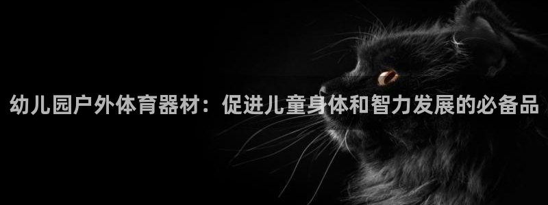 尊龙官网国际：幼儿园户外体育器材：促进儿童身体和智力