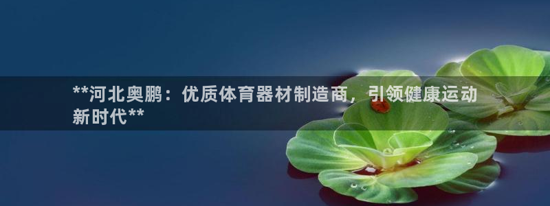 尊龙ag旗舰厅下载：**河北奥鹏：优质体育器材制造商