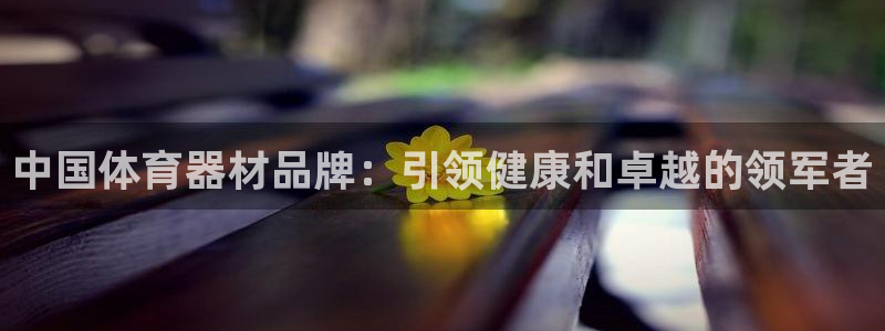 尊龙官方平台是正品吗：中国体育器材品牌：引领健康和卓