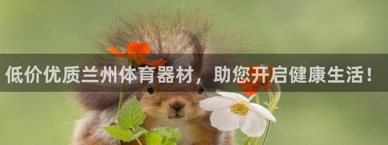 凯时ag旗舰厅登录：低价优质兰州体育器材，助您开启健
