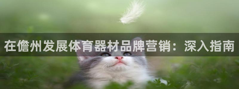 尊龙凯时台子：在儋州发展体育器材品牌营销：深入指南