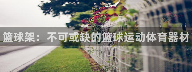 尊龙光学怎么样：篮球架：不可或缺的篮球运动体育器材