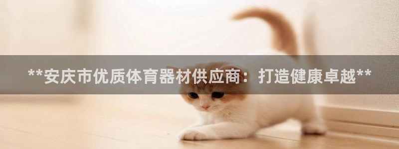 尊龙凯时官方网站下载：**安庆市优质体育器材供应商：