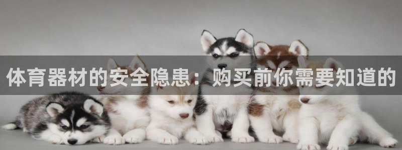 尊龙官网下载：体育器材的安全隐患：购买前你需要知道的