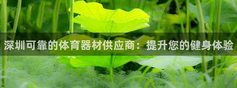 尊龙人生就是博电脑版：深圳可靠的体育器材供应商：提升