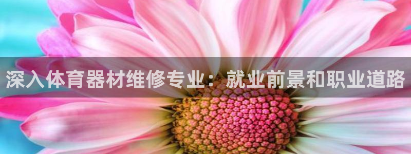 尊龙人生就要博旧版：深入体育器材维修专业：就业前景和