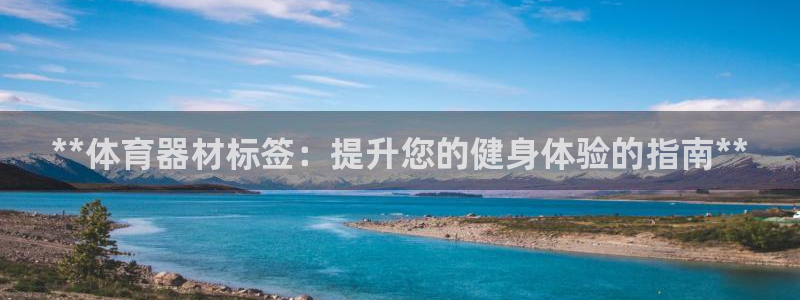 尊龙新版app首页：**体育器材标签：提升您的健身体