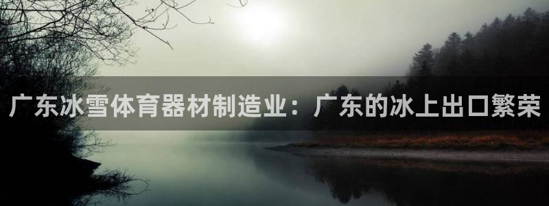 尊龙登录地址：广东冰雪体育器材制造业：广东的冰上出口