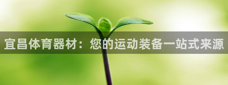 尊龙平台有谁玩过：宜昌体育器材：您的运动装备一站式来