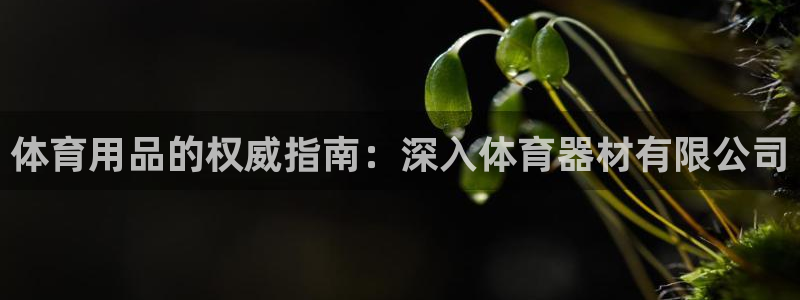 尊龙l1500：体育用品的权威指南：深入体育器材有限