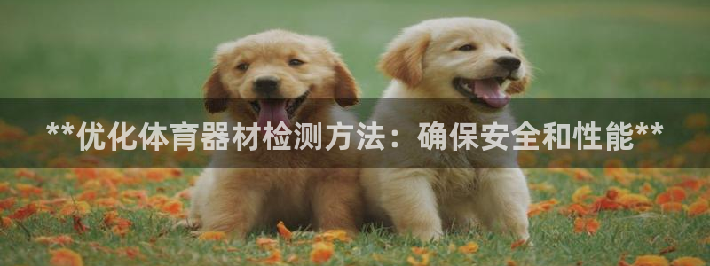 尊龙官网免费下载：**优化体育器材检测方法：确保安全