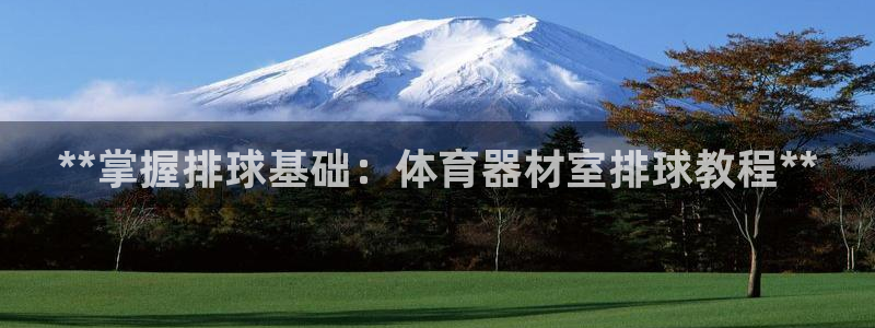 尊龙凯时代理官网入口：**掌握排球基础：体育器材室排
