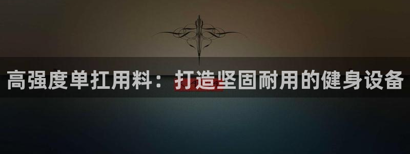 尊龙ag旗舰：高强度单扛用料：打造坚固耐用的健身设备