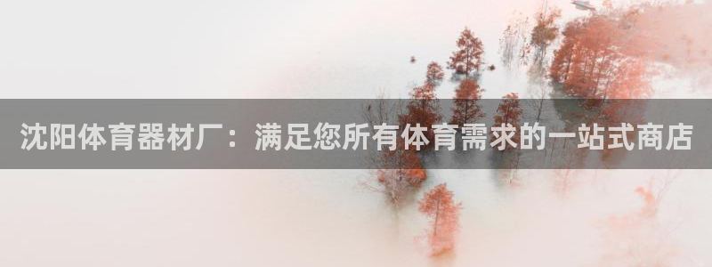 凯时国际app首页登录入口：沈阳体育器材厂：满足您所