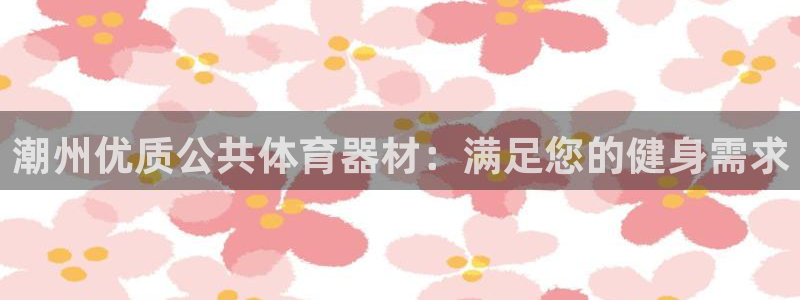 尊龙会：潮州优质公共体育器材：满足您的健身需求