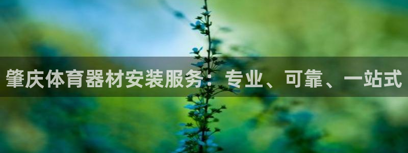 尊龙凯时提不了款：肇庆体育器材安装服务：专业、可靠、