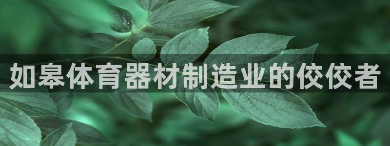 尊龙长相评价：如皋体育器材制造业的佼佼者