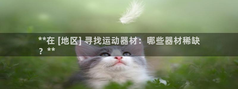 尊龙长相评价：**在 [地区] 寻找运动器材：哪些器