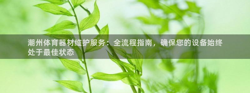尊龙凯时人生就是搏 品牌专区：潮州体育器材维护服务：