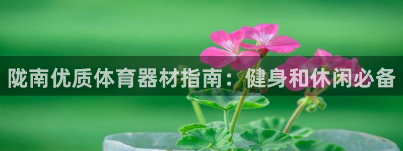 尊龙官网地址：陇南优质体育器材指南：健身和休闲必备