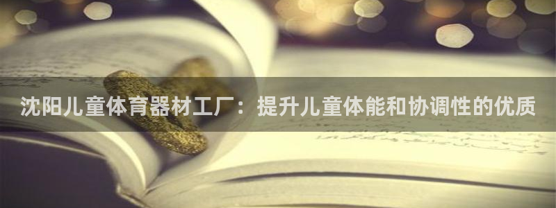 凯时APP官网首页：沈阳儿童体育器材工厂：提升儿童体
