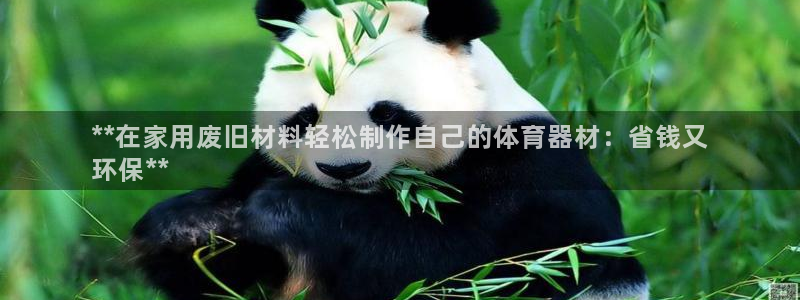 尊龙凯时注册入口：**在家用废旧材料轻松制作自己的体