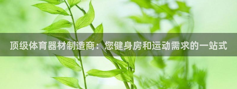 最新凯时官网网址：顶级体育器材制造商：您健身房和运动