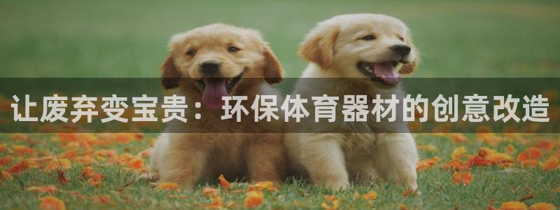 尊龙官方网站最新版V9.3.06介绍：让废弃变宝贵：