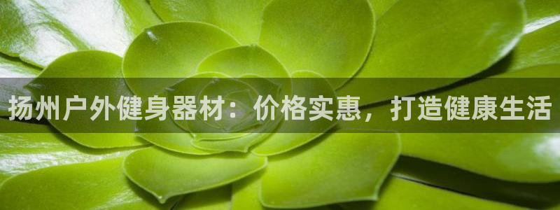 尊龙凯时产品系列：扬州户外健身器材：价格实惠，打造健