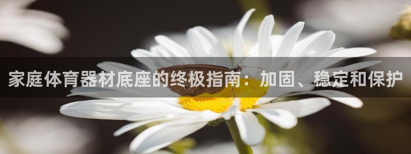 尊龙凯时老板是谁：家庭体育器材底座的终极指南：加固、