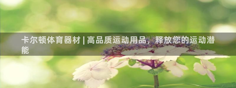 尊龙AG旗舰厅app下载：卡尔顿体育器材 | 高品质