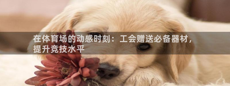 d88尊龙凯时：在体育场的动感时刻：工会赠送必备器材