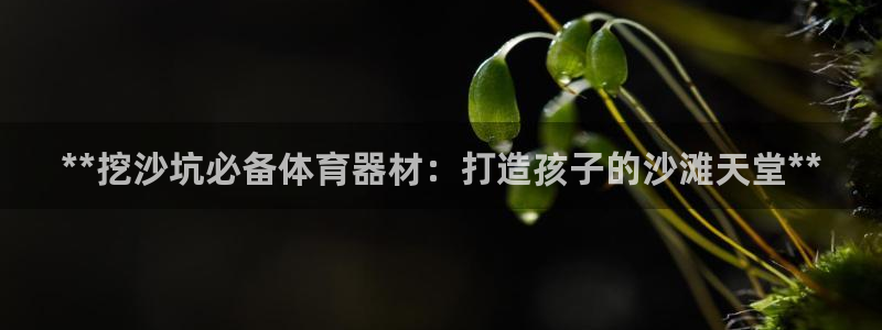 尊龙凯时登陆网址：**挖沙坑必备体育器材：打造孩子的