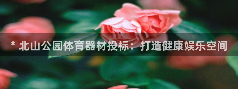 凯时登录平台去AG发财网：* 北山公园体育器材投标：