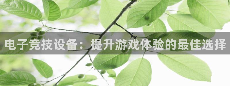 z6尊龙官网平台下载：电子竞技设备：提升游戏体验的最