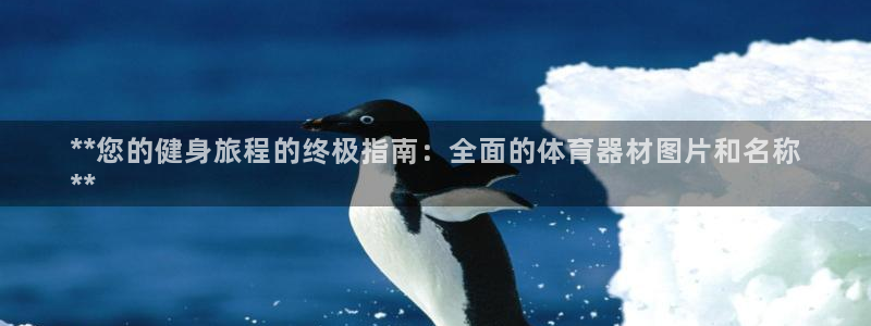 凯时国际app首页下载：**您的健身旅程的终极指南：