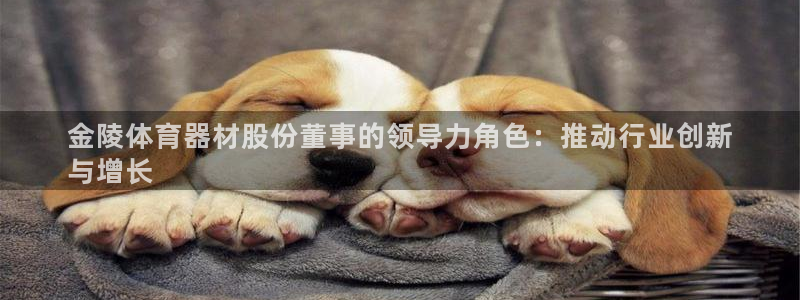 尊龙凯时登入首页：金陵体育器材股份董事的领导力角色：