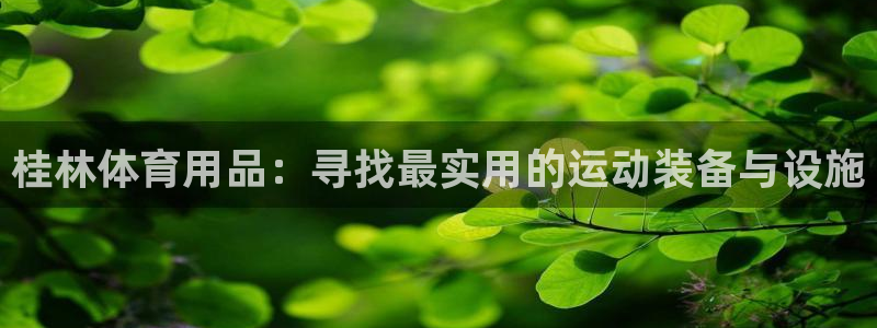 尊龙凯时提不了款