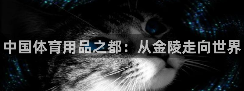 Z6尊龙老版