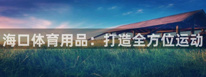 尊龙t500和t300区别