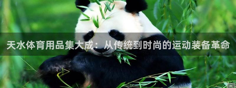 尊龙凯时平台怎么样